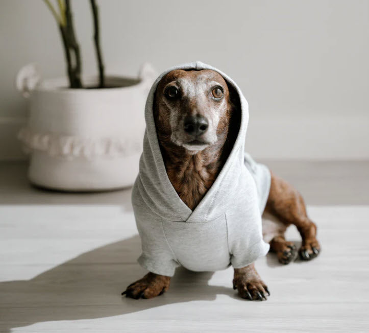 Apparel & Accessories