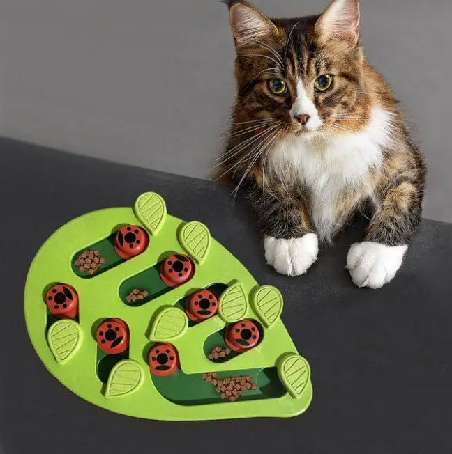Toys & Enrichment
