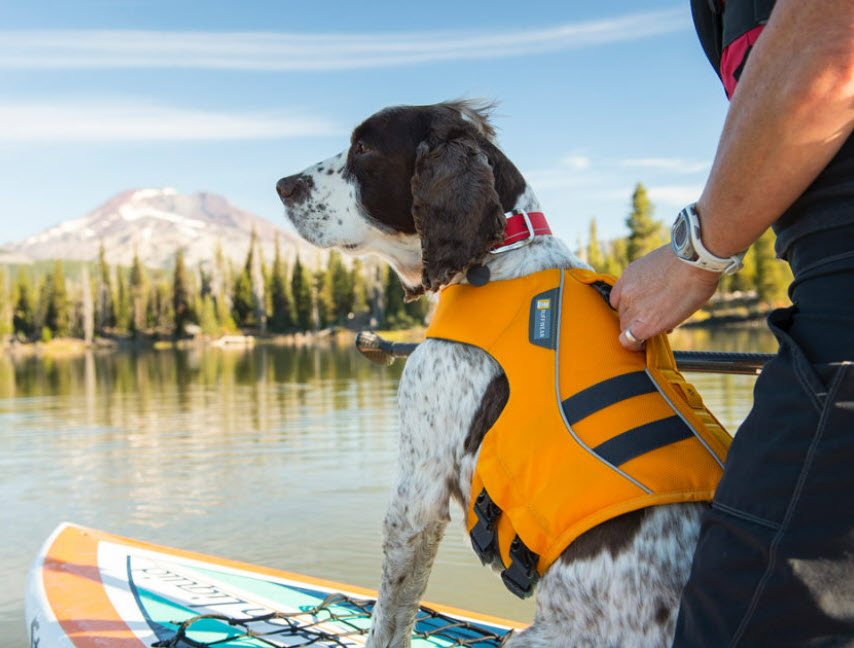 Pet Travel & Outdoor Gear