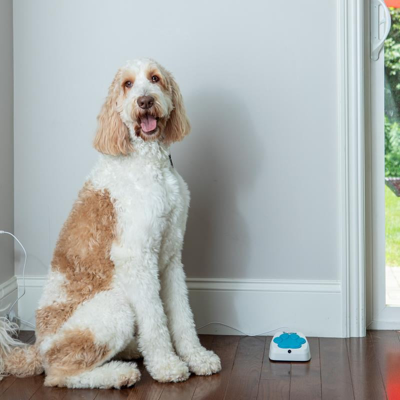 Service Dog Medical Alert Training Device with Instant Alerts & Live Camera Feed