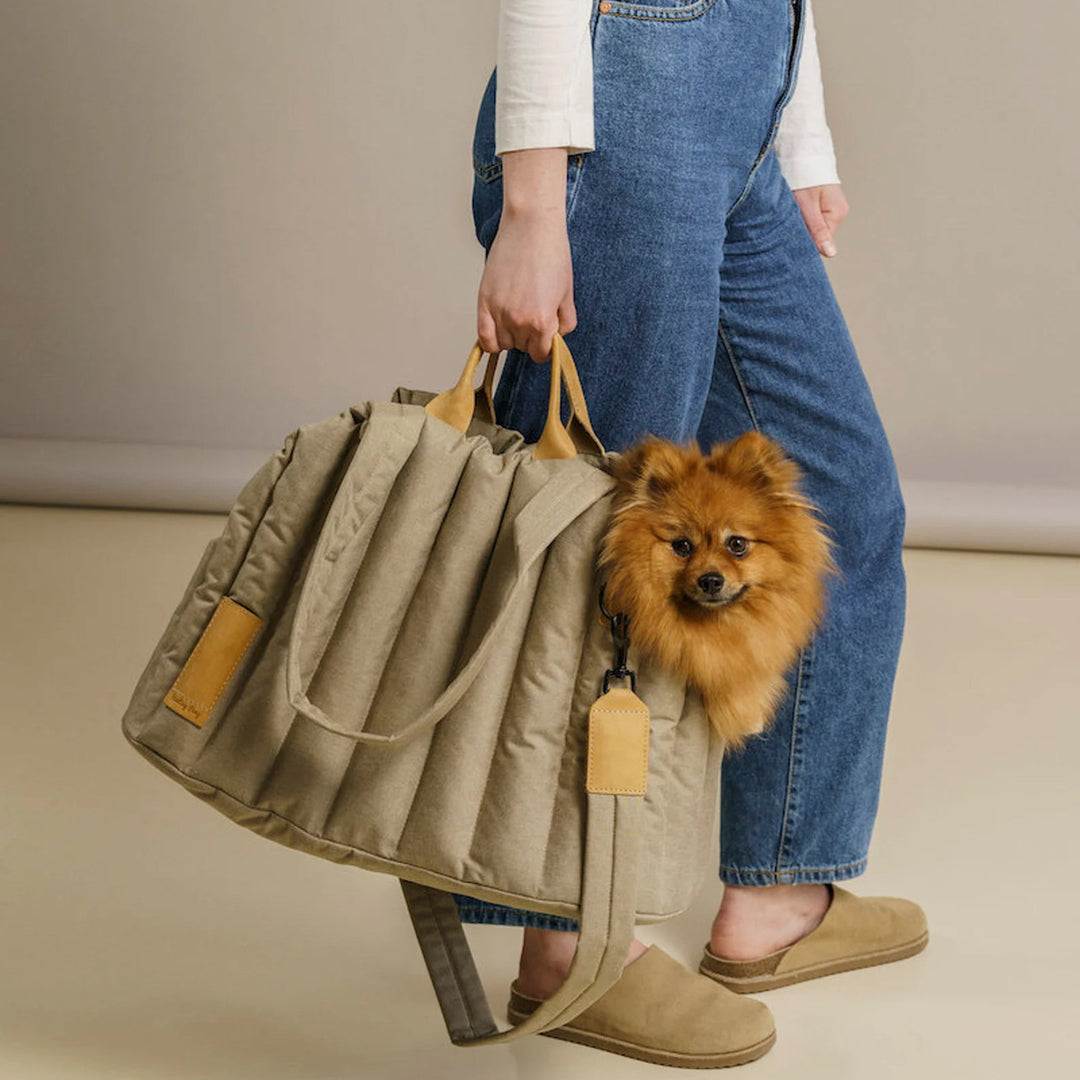 Stylish Waterproof Pet Carrier Bag - Lightweight & Portable for Dogs and Cats