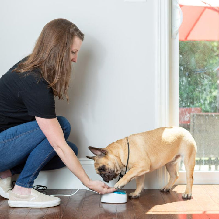 Service Dog Medical Alert Training Device with Instant Alerts & Live Camera Feed