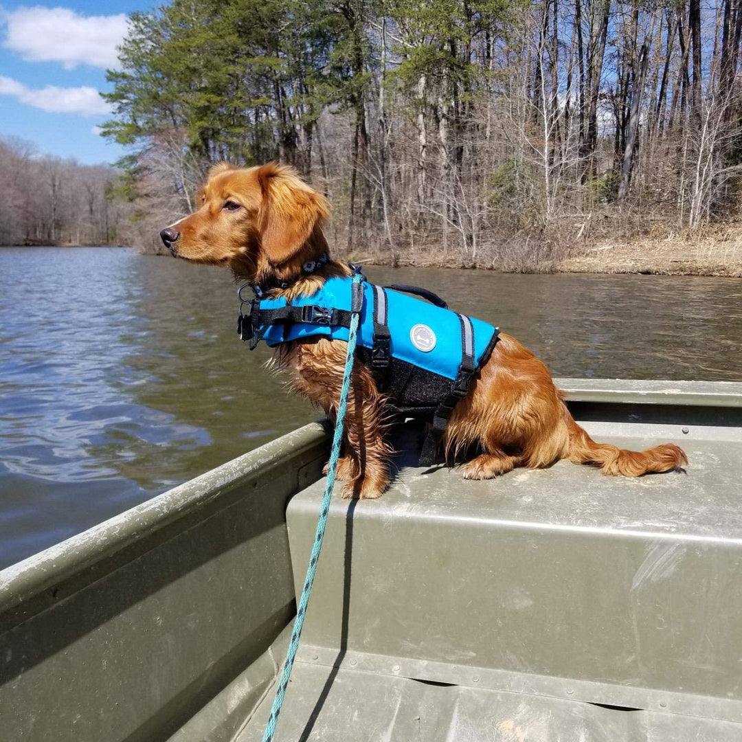 Premium Ripstop Dog Life Jacket - Ultimate Safety Vest for Small, Medium & Large Dogs - Perfect for Boating & Swimming - Enhanced Visibility & Buoyancy in Vibrant Blue