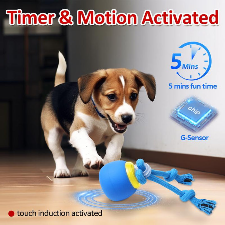 Interactive Motion-Activated Squeaky Dog Ball - Rechargeable Enrichment Toy for Small/Medium Dogs - Perfect for Outdoor Fun & Daily Training!