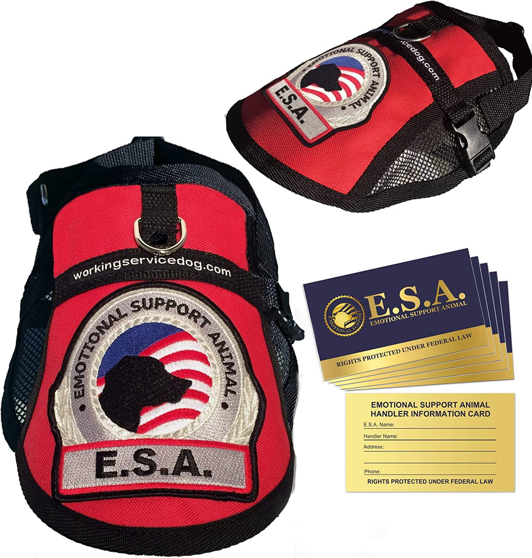 Premium ESA Dog Vest with Cooling Mesh Panel | Emotional Support Harness + 5 Federal Law Handout Cards | Size: 18"-22" Girth, Red