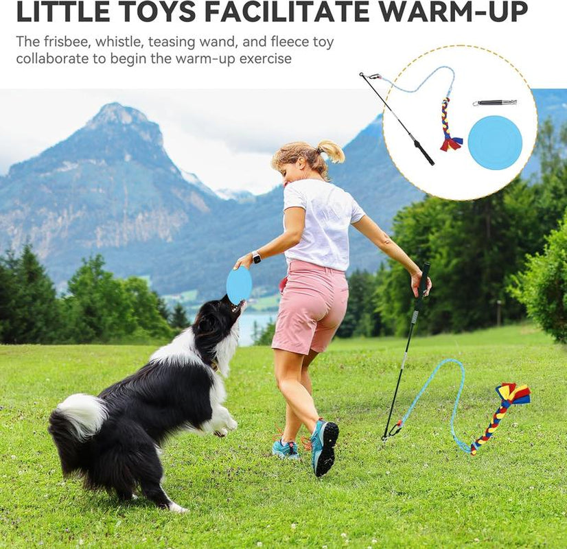 YITAHOME Ultimate Dog Agility Training Set: Flirt Pole, Flying Discs, Agility Tunnel, Jumps, Weave Poles & Pause Box for Indoor & Outdoor Fun!