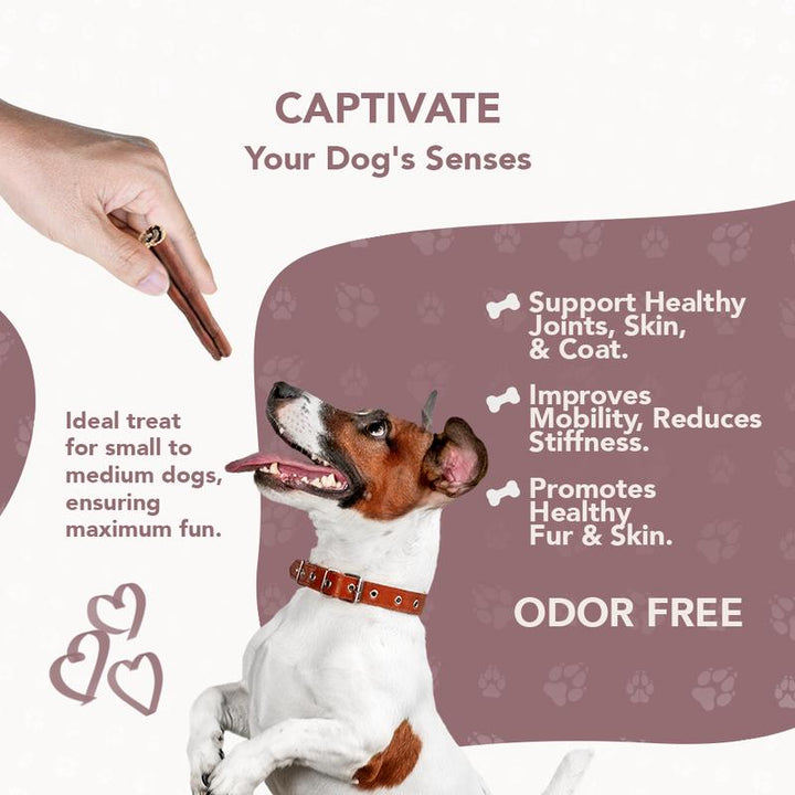 Rethink Pet Premium Beef Collagen Chew Sticks - 4 Pack for Joint & Skin Health, Long-Lasting Dog Treats (8 Pieces)