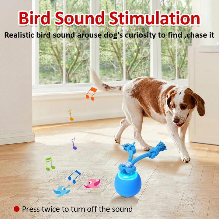 Interactive Motion-Activated Squeaky Dog Ball - Rechargeable Enrichment Toy for Small/Medium Dogs - Perfect for Outdoor Fun & Daily Training!