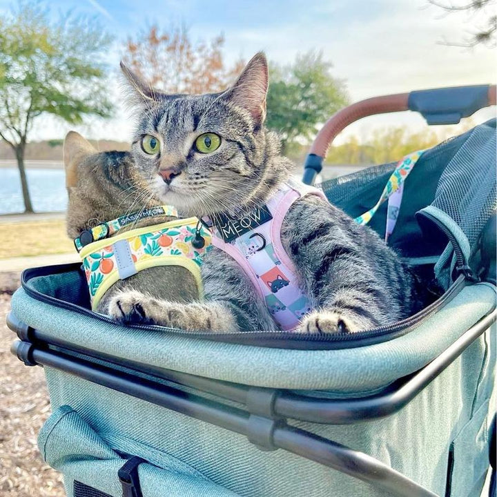 Strolee Luxury Pet Stroller V3 – Complete Travel System & Personal Shopping Cart –Quick Clip Bassinet Canopy, Lightweight Aluminum Frame – Ultra Compact Fold- Water Resistant Removable Carrier