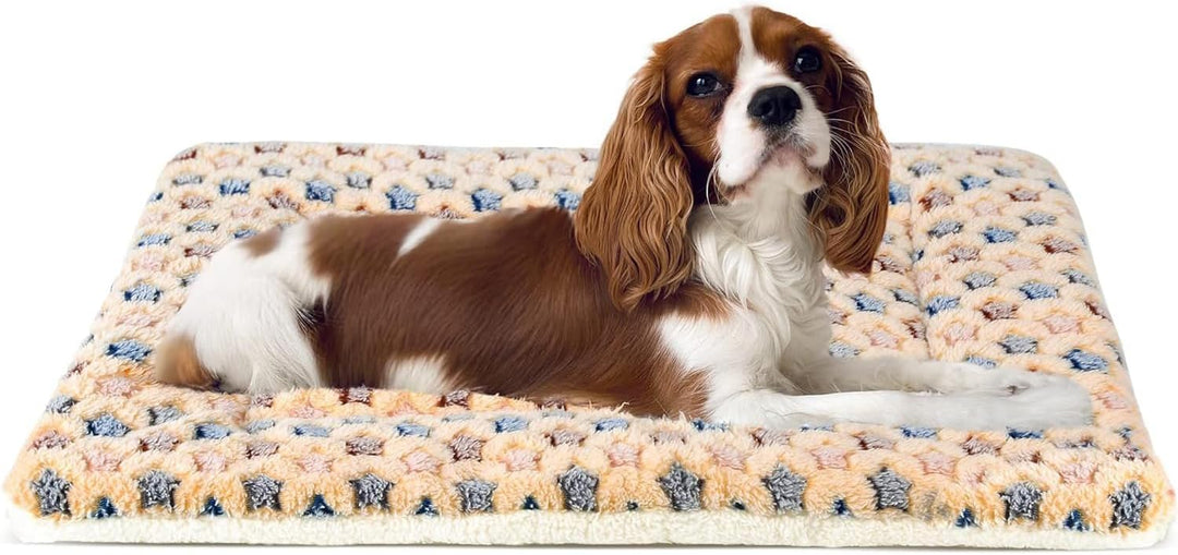 Ultra Soft Reversible Dog Crate Pad - Cute Star Print Pet Bed, Washable Mat for All Sizes, Perfect Cat Bed - 23 x 18 Inch Brown