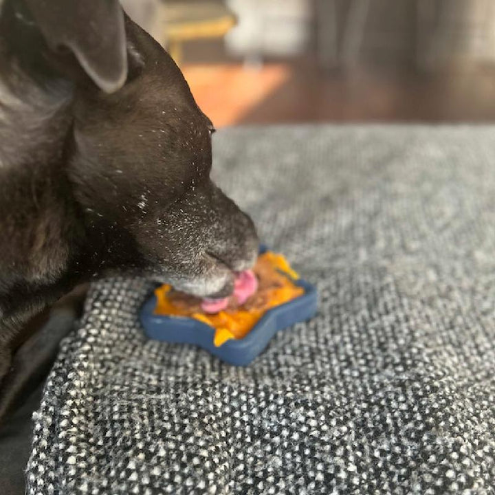 Freezstar - Long-Lasting Star Chew