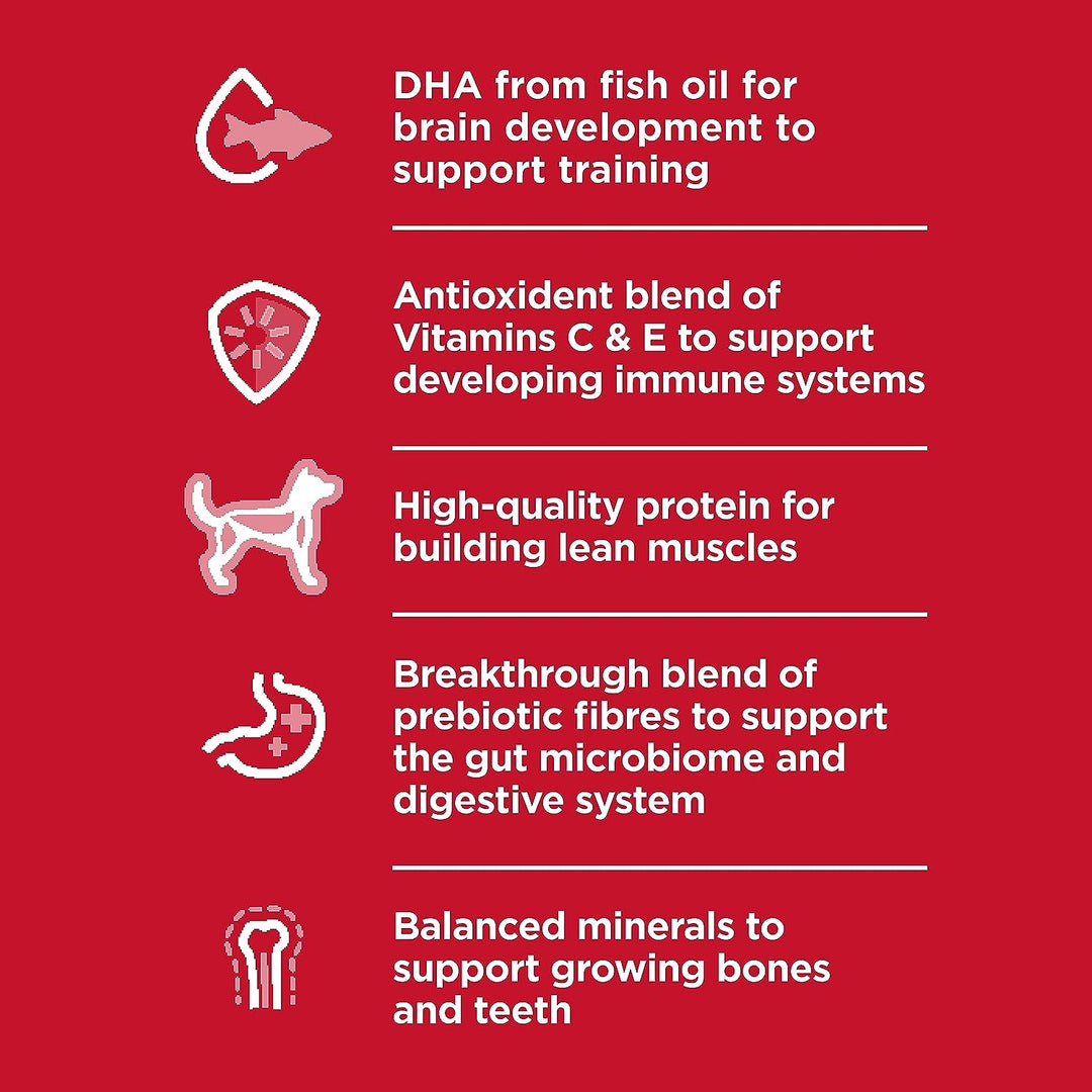 Premium Chicken Meal & Barley Recipe Dry Dog Food for Puppies - Small Bites, 15.5 Lb. Bag