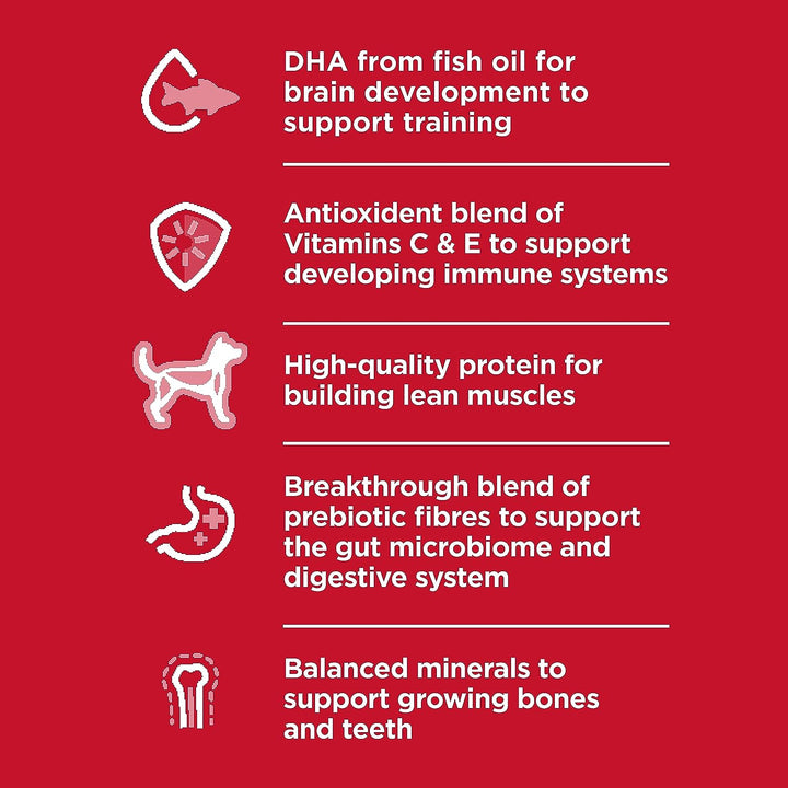 Premium Chicken Meal & Barley Recipe Dry Dog Food for Puppies - Small Bites, 15.5 Lb. Bag