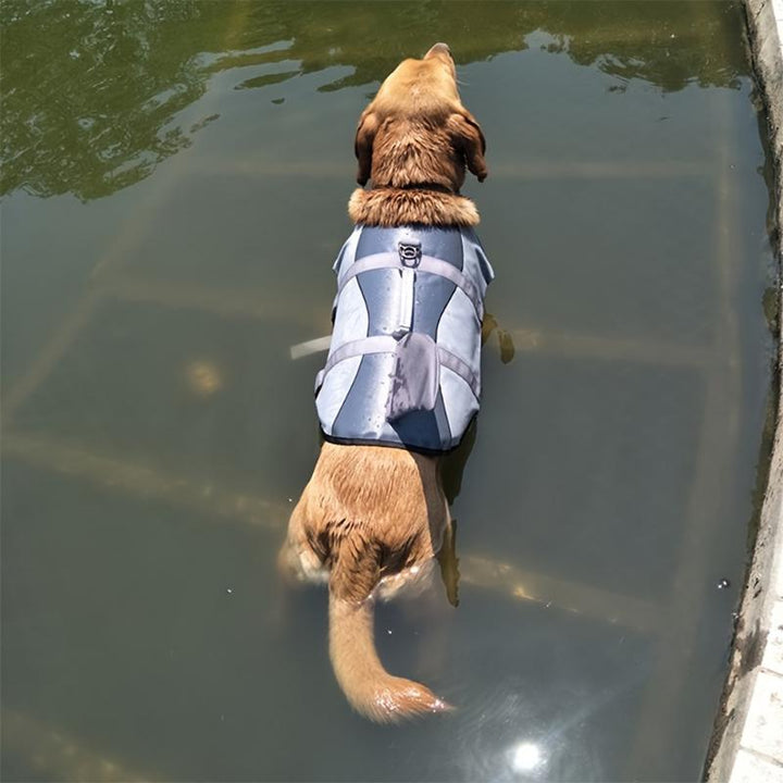 Adventure Edge1 Shark & Mermaid Dog Life Jacket - Adjustable Safety Vest for Small Dogs, Ideal for Summer Fun!
