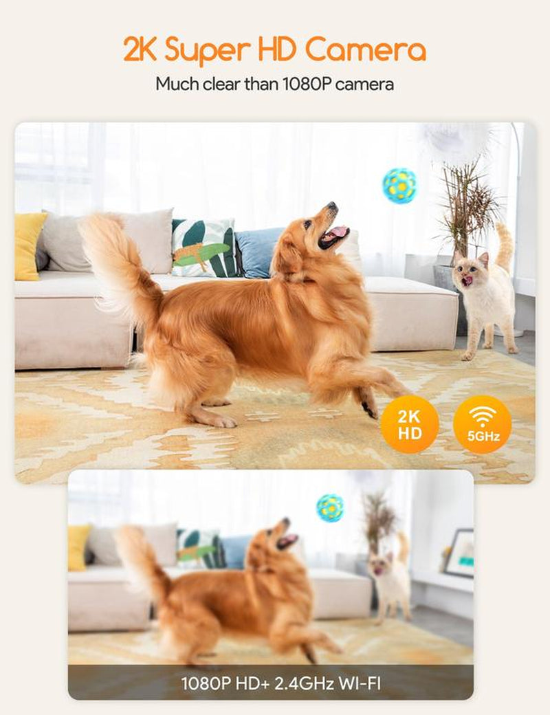 Meowant Dog Treat Dispenser with 2K Camera