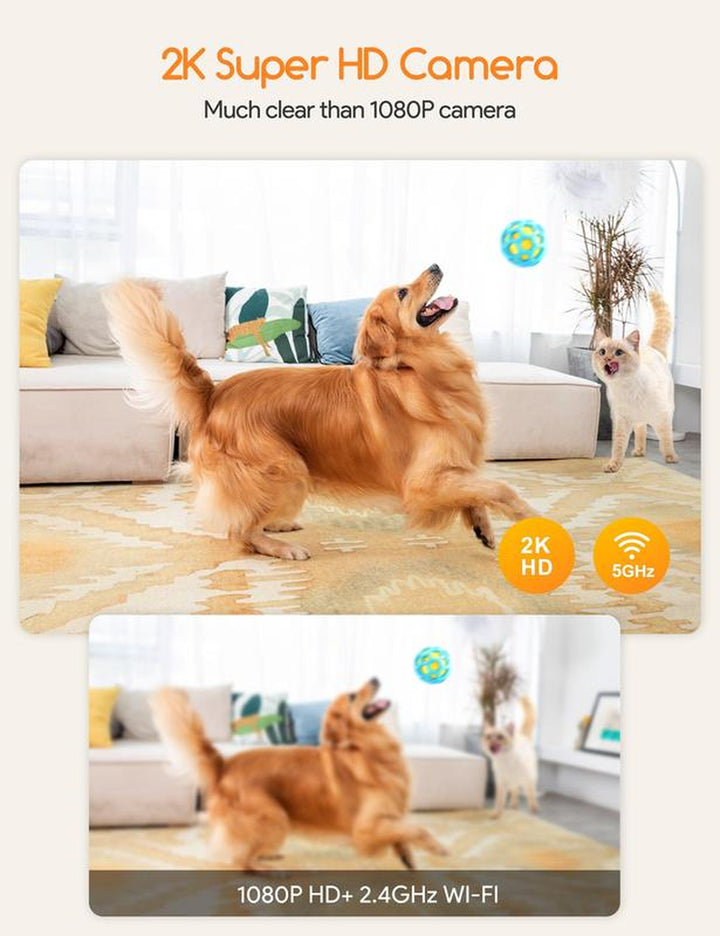 Meowant Dog Treat Dispenser with 2K Camera