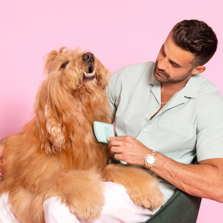 Brodie Brush - Ultimate Dog Shedding & Grooming Tool