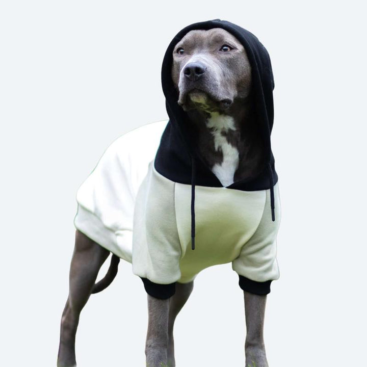 Spark Paws Premium Color Block Dog Hoodies - Ultra Soft, Cozy Fleece for All Breeds!