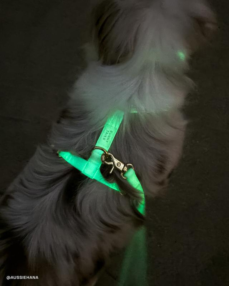Lunar Glow 4-in-1 Hands-Free Cloud Dog Leash - 8.5 Ft Versatile Design for Ultimate Comfort and Control