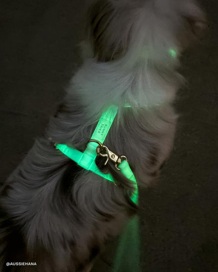 Lunar Glow 4-in-1 Hands-Free Cloud Dog Leash - 8.5 Ft Versatile Design for Ultimate Comfort and Control