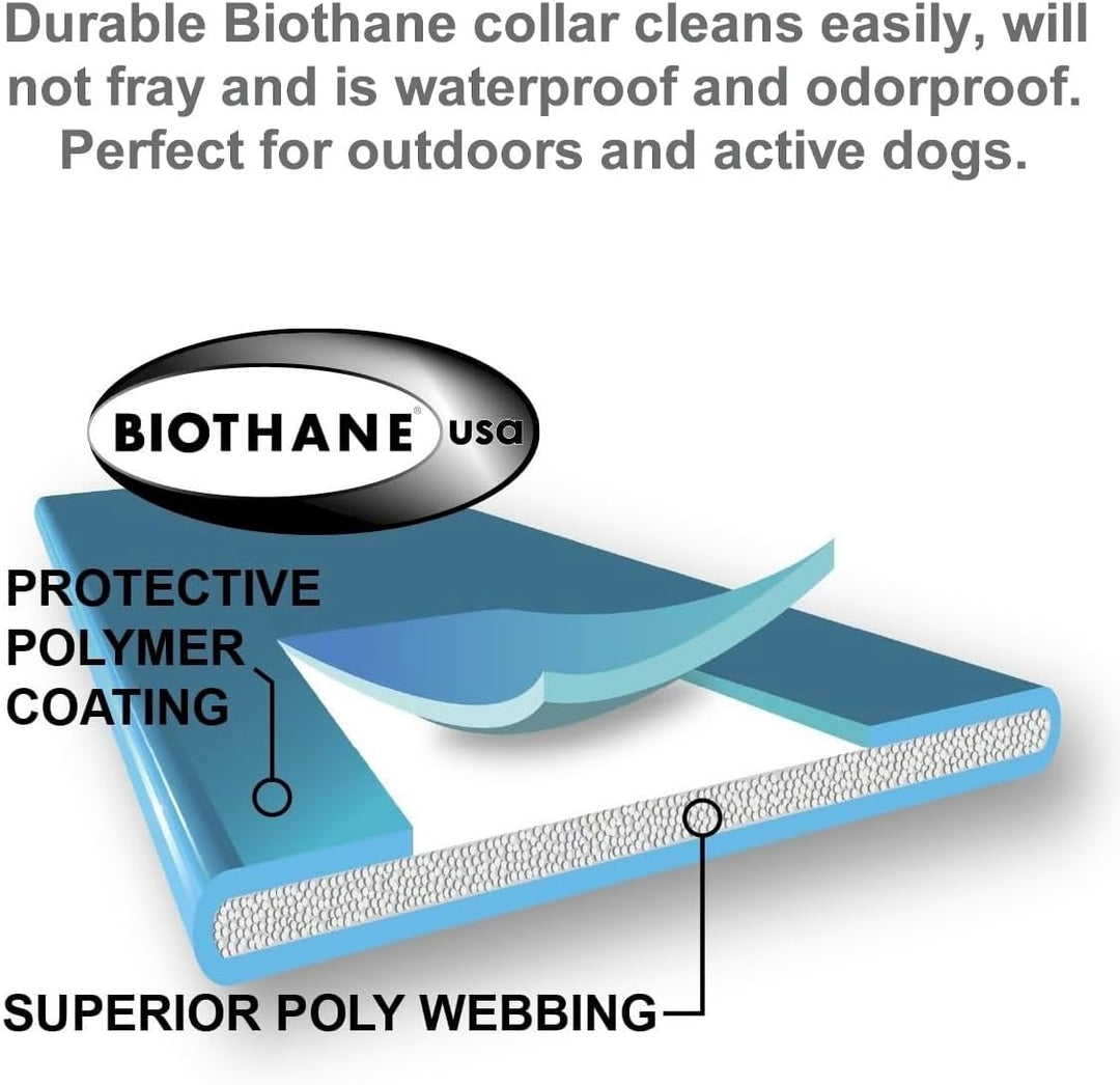 Humane E-Collar Dog Training System - Rechargeable Remote with Finger Clicker for Small to Medium Dogs, 100 Levels of Tapping Stimulation, Tone & Light, 1/2 Mile Range