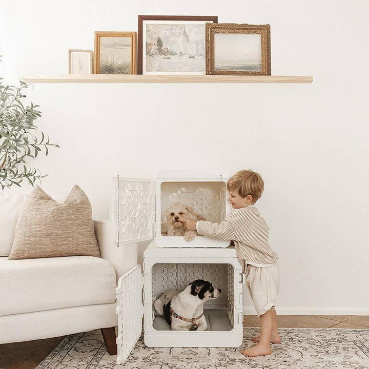 Kindtail - PAWD Modern Collapsible Dog Crate Pet Supplies