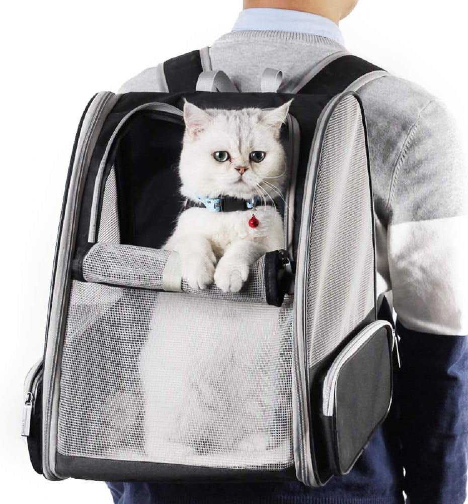 Stylish Black Bubble Backpack Pet Carrier for Cats and Dogs - Perfect for Travel!