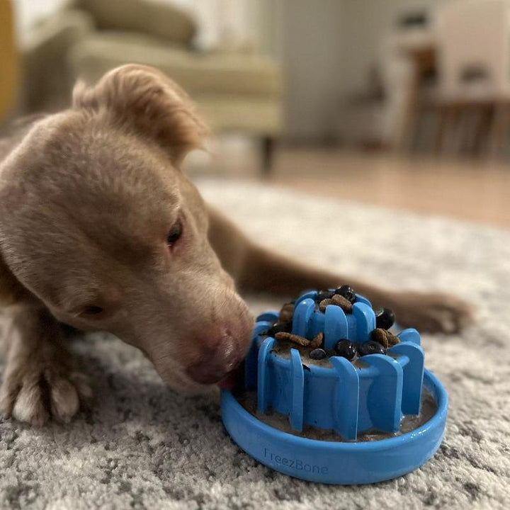 Freezlava Heavy-Duty Chew for Ultimate Pet Enrichment