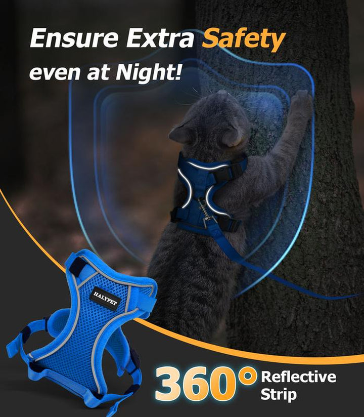 Escape-Proof Adjustable Cat Harness & Leash Set - Breathable Mesh for Safe Outdoor Adventures