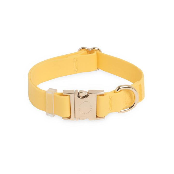 Adjustable Waterproof Dog Collar with Quick Release Buckle - Perfect for All Weather Adventures!