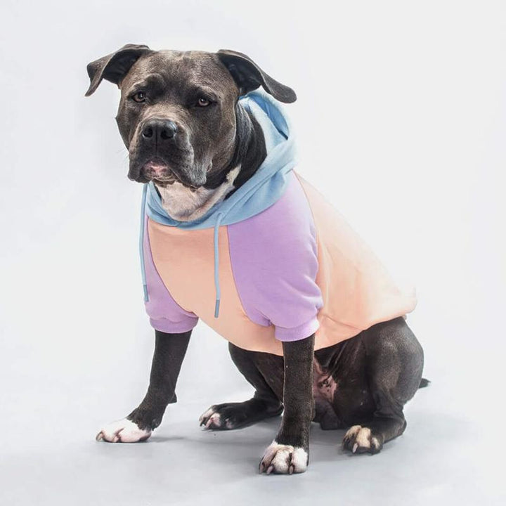 Spark Paws Premium Color Block Dog Hoodies - Ultra Soft, Cozy Fleece for All Breeds!