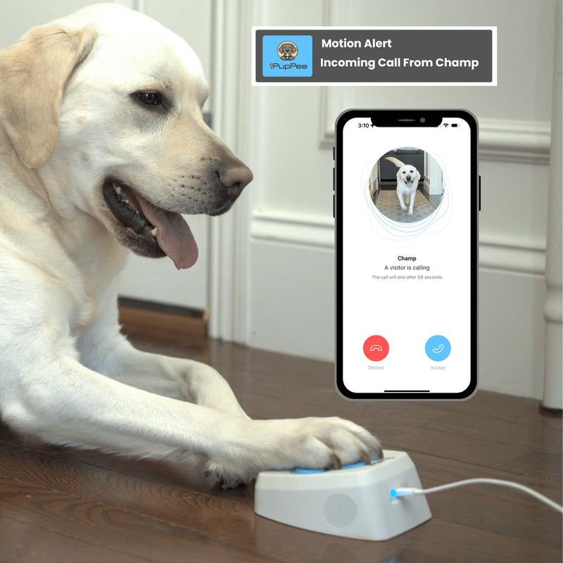 Service Dog Medical Alert Training Device with Instant Alerts & Live Camera Feed