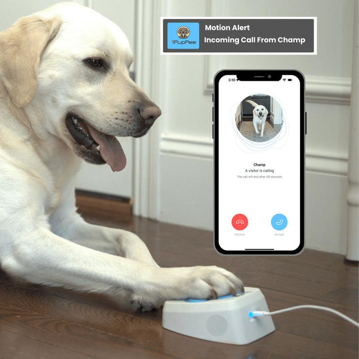 Service Dog Medical Alert Training Device with Instant Alerts & Live Camera Feed