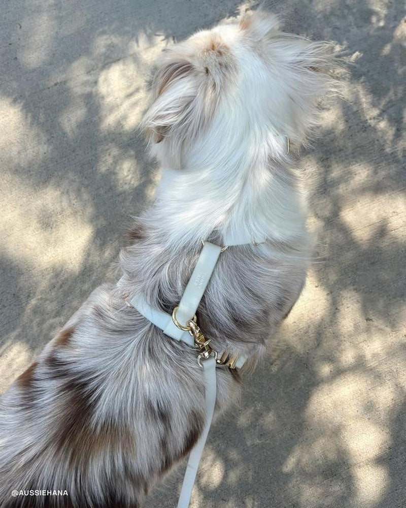 Lunar Glow 4-in-1 Hands-Free Cloud Dog Leash - 8.5 Ft Versatile Design for Ultimate Comfort and Control