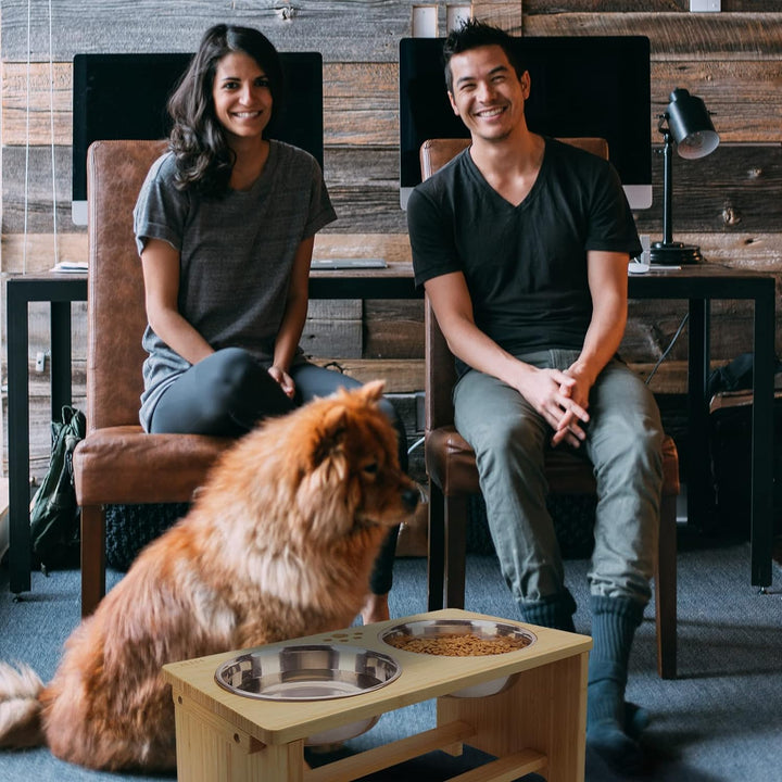 Elevated Dog Bowls with Stainless Steel - Ideal Feeding Stand for All Dog Sizes!