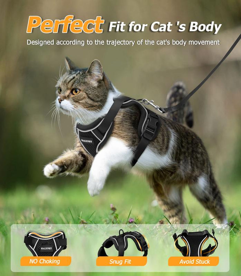 Escape-Proof Adjustable Cat Harness & Leash Set - Breathable Mesh for Safe Outdoor Adventures