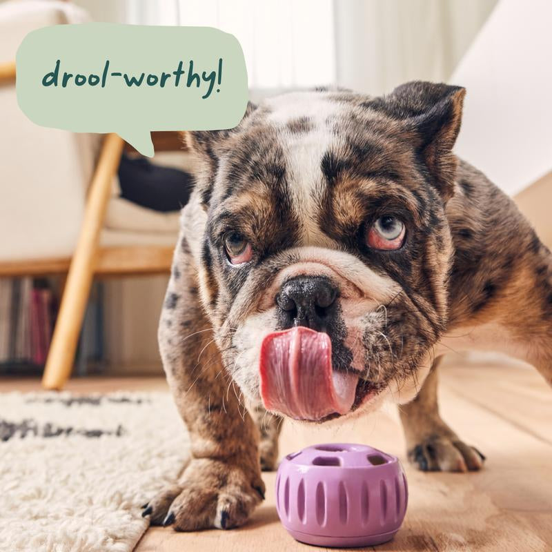 Pupsicle Starter Pack: Durable & Engaging Dog Toy for Endless Fun!