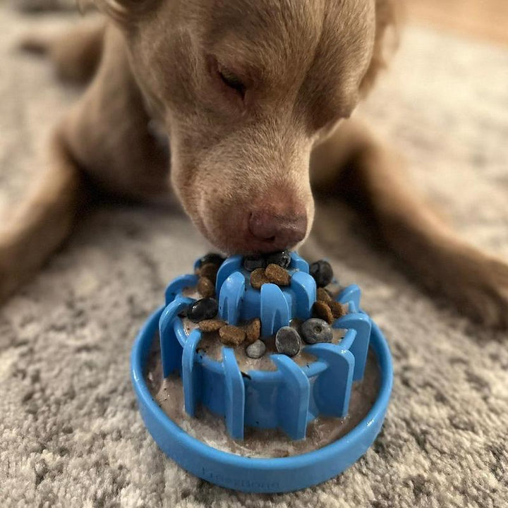 Freezlava Heavy-Duty Chew for Ultimate Pet Enrichment