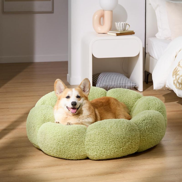 Lesure Calming Flower Donut Bed - Plush Teddy Sherpa Round Dog Bed, Non-Slip & Machine Washable for Cozy Indoor Comfort
