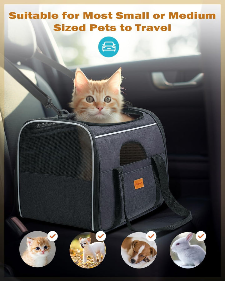 Premium Soft-Sided Cat Carrier for Large Cats & Puppies - Airline Approved, Safety Zippers, Foldable Bowl - Stylish Dark Gray