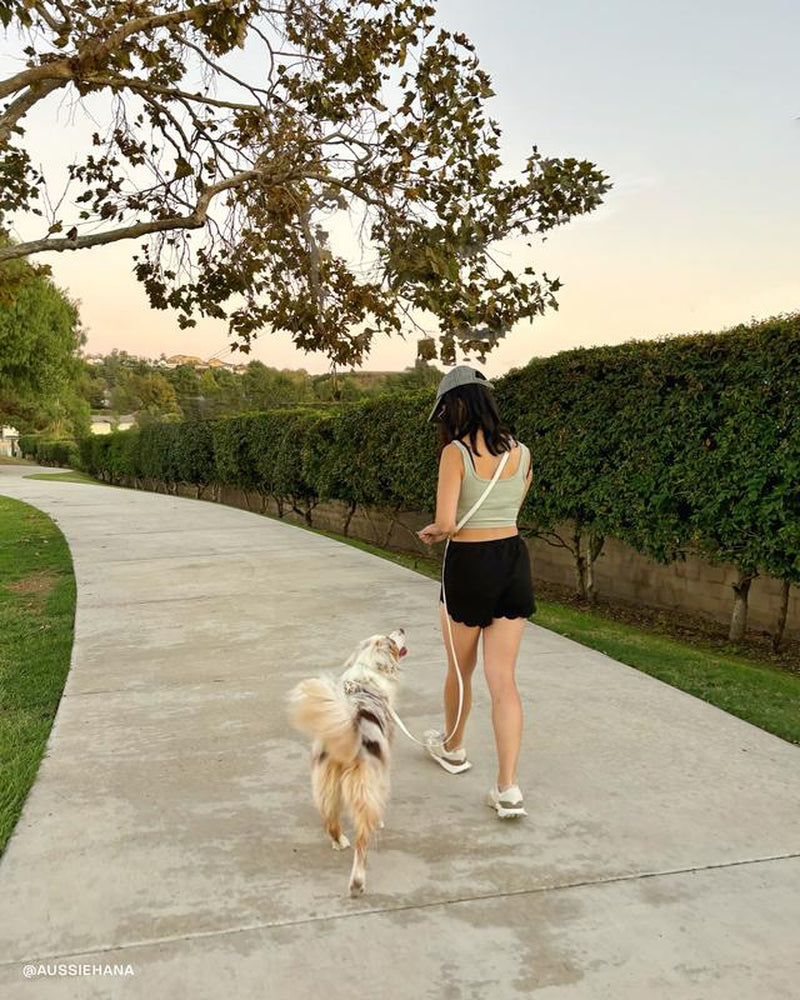 Lunar Glow 4-in-1 Hands-Free Cloud Dog Leash - 8.5 Ft Versatile Design for Ultimate Comfort and Control