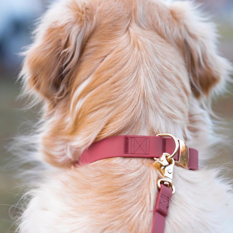 Adjustable Waterproof Dog Collar with Quick Release Buckle - Perfect for All Weather Adventures!