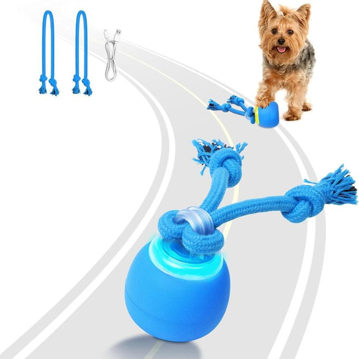 Interactive Motion-Activated Squeaky Dog Ball - Rechargeable Enrichment Toy for Small/Medium Dogs - Perfect for Outdoor Fun & Daily Training!