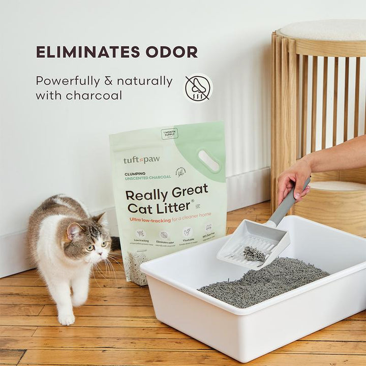 Really Great Cat Litter - Eco-Friendly Low-Tracking Tofu Pellets, Flushable, Clumping, Dust-Free with Superior Odor Control