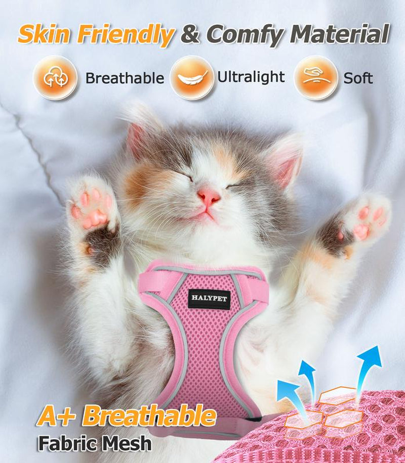 Escape-Proof Adjustable Cat Harness & Leash Set - Breathable Mesh for Safe Outdoor Adventures