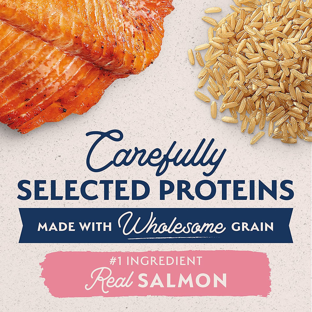 Premium Limited Ingredient Puppy Dry Dog Food with Salmon & Brown Rice - 24 lb Bag