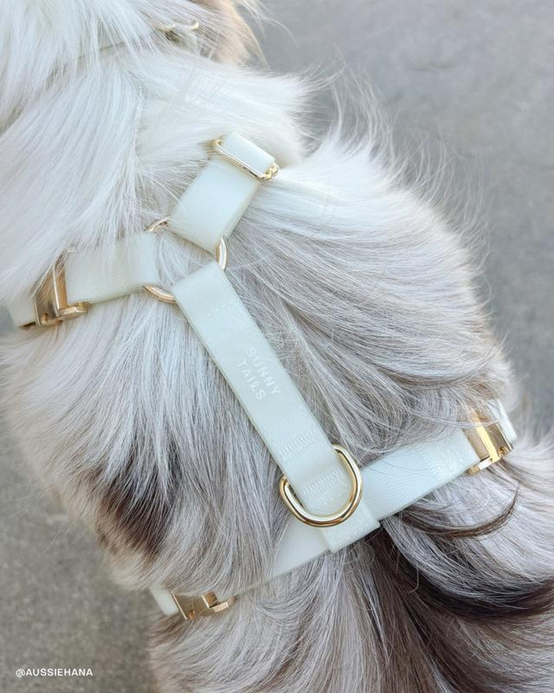 Lunar Glow 4-in-1 Hands-Free Cloud Dog Leash - 8.5 Ft Versatile Design for Ultimate Comfort and Control