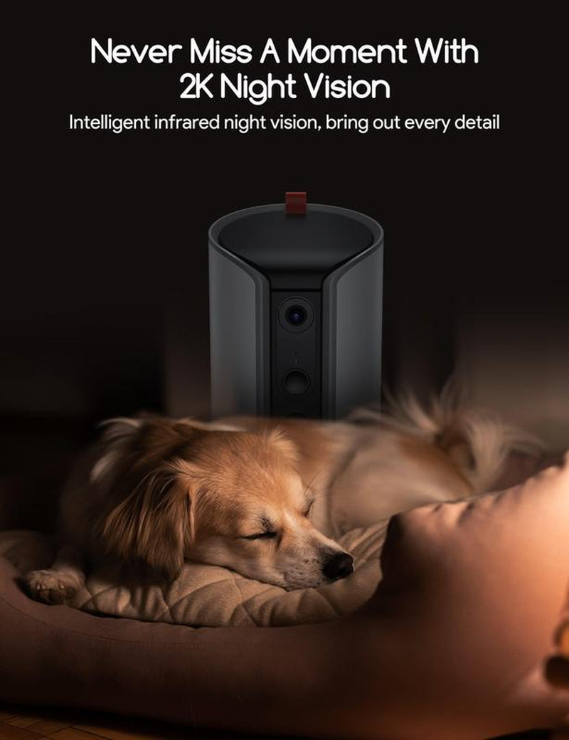 Meowant Dog Treat Dispenser with 2K Camera