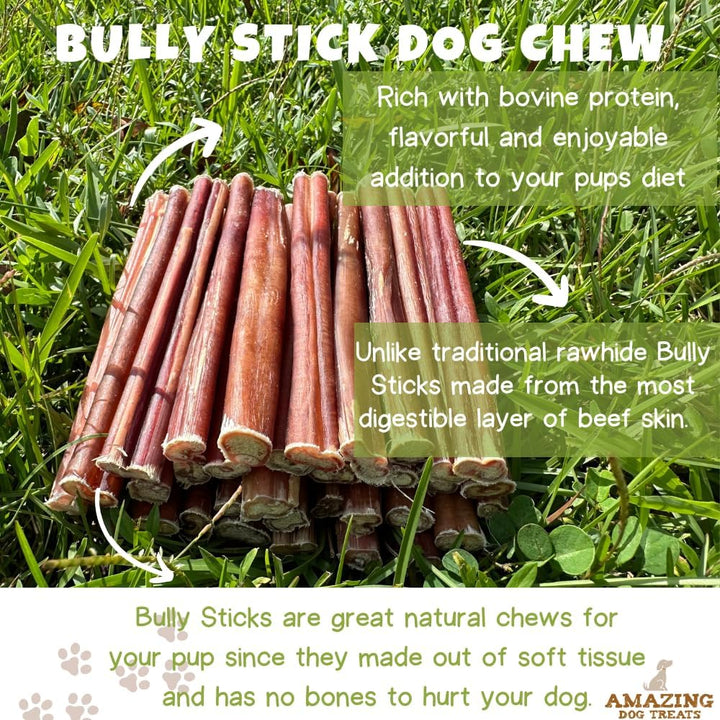Premium 6-Inch Bully Sticks for Dogs - 25 Count Bulk Pack - All-Natural No Hide Dog Chews