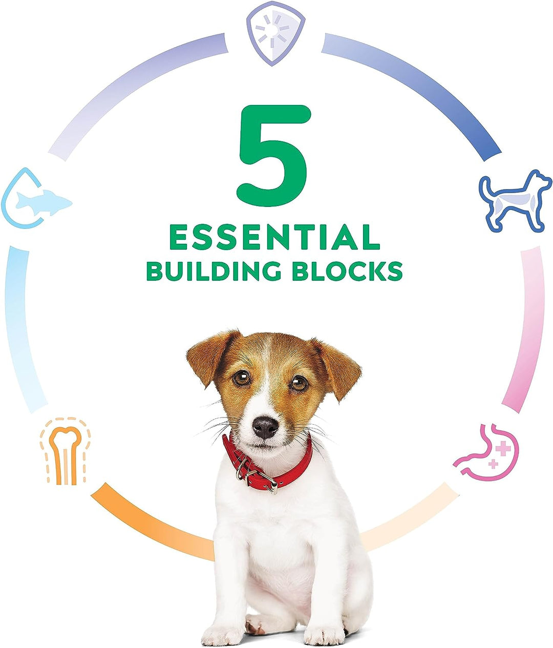 Premium Chicken Meal & Barley Recipe Dry Dog Food for Puppies - Small Bites, 15.5 Lb. Bag